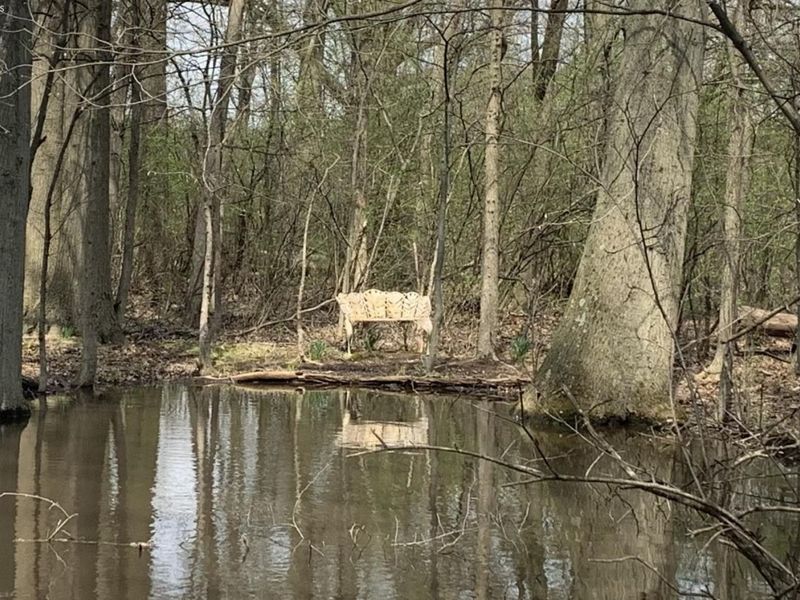 45089 E Hamilton St, Oberlin, OH 44074 Photo 45