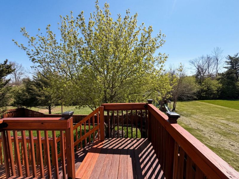 3373 Brook Spring Drive, Grove City, OH 43123 Photo 21