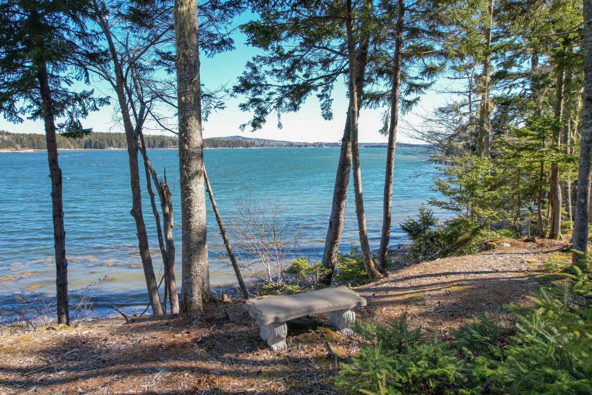 131 Aspen Lane , Steuben, ME 04680 Main Photo