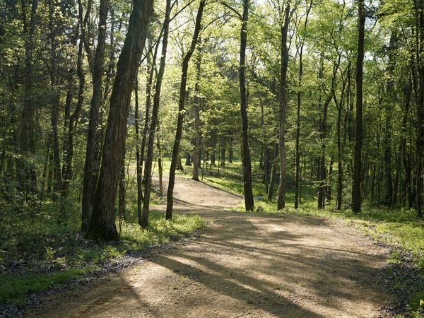 0 Gilliam Ln , Columbia, TN 38401