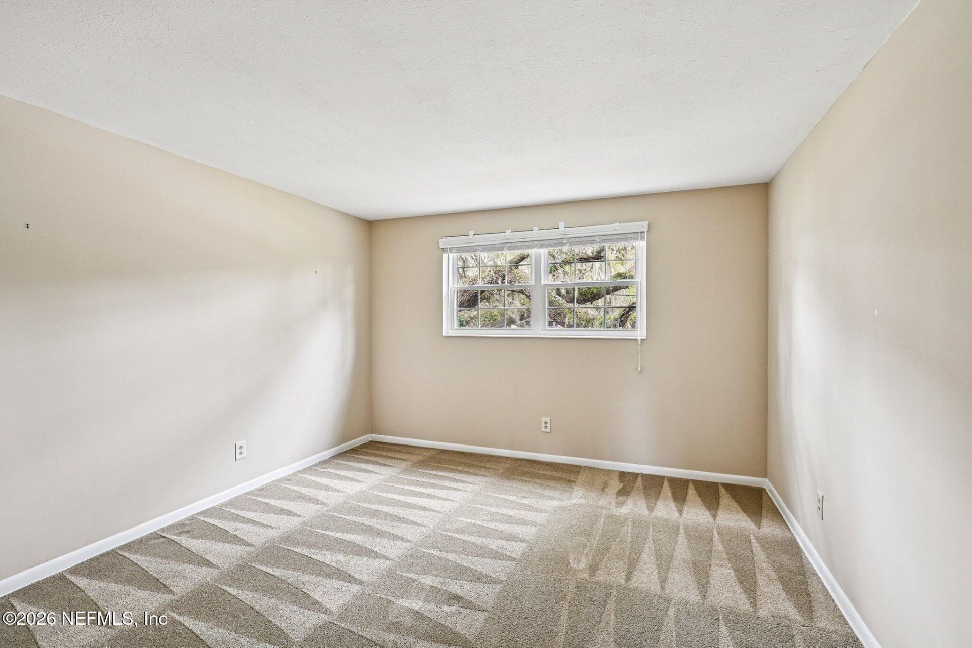 8507 Synhoff Drive, Jacksonville, FL 32216 Photo