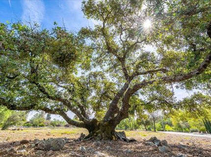14035 Riva Ridge Cir, Auburn, CA 95602 Photo