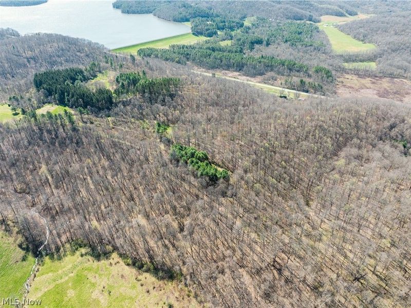 31370 Cadiz Dennison Road, Uhrichsville, OH 44683 Photo 21