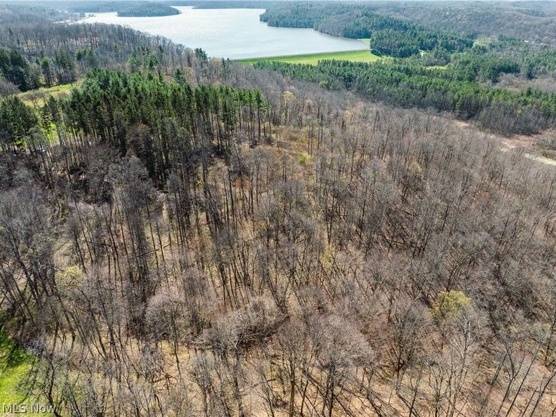 31370 Cadiz Dennison Road, Uhrichsville, OH 44683 Photo 26