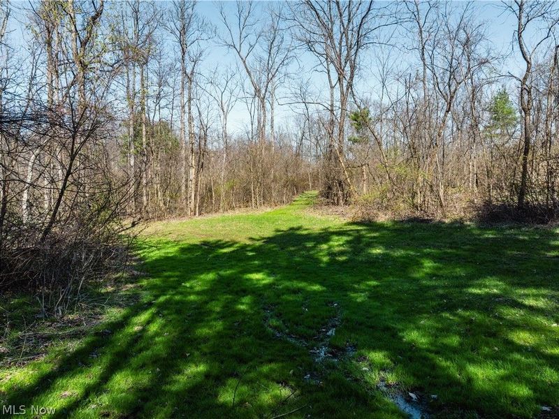 31370 Cadiz Dennison Road, Uhrichsville, OH 44683 Photo 30