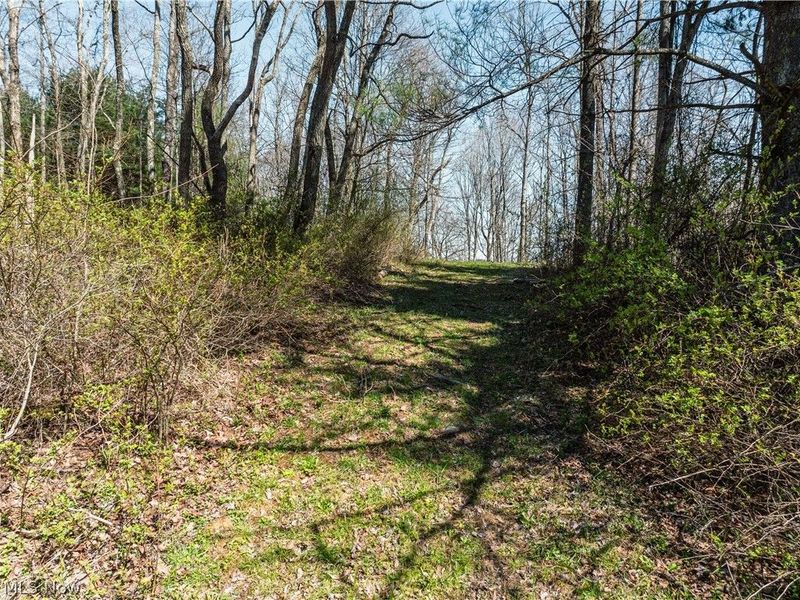 31370 Cadiz Dennison Road, Uhrichsville, OH 44683 Photo 33