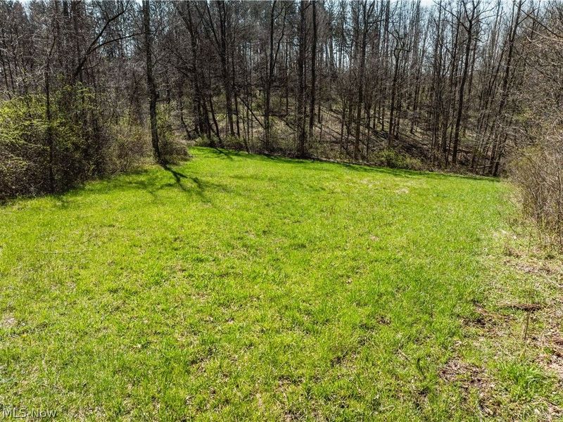 31370 Cadiz Dennison Road, Uhrichsville, OH 44683 Photo 34