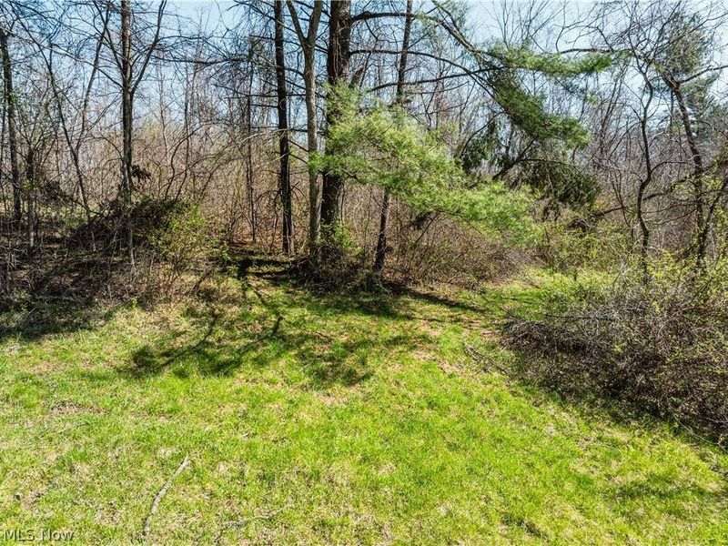 31370 Cadiz Dennison Road, Uhrichsville, OH 44683 Photo 36