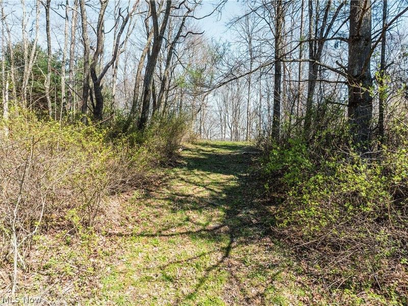 31370 Cadiz Dennison Road, Uhrichsville, OH 44683 Photo 37