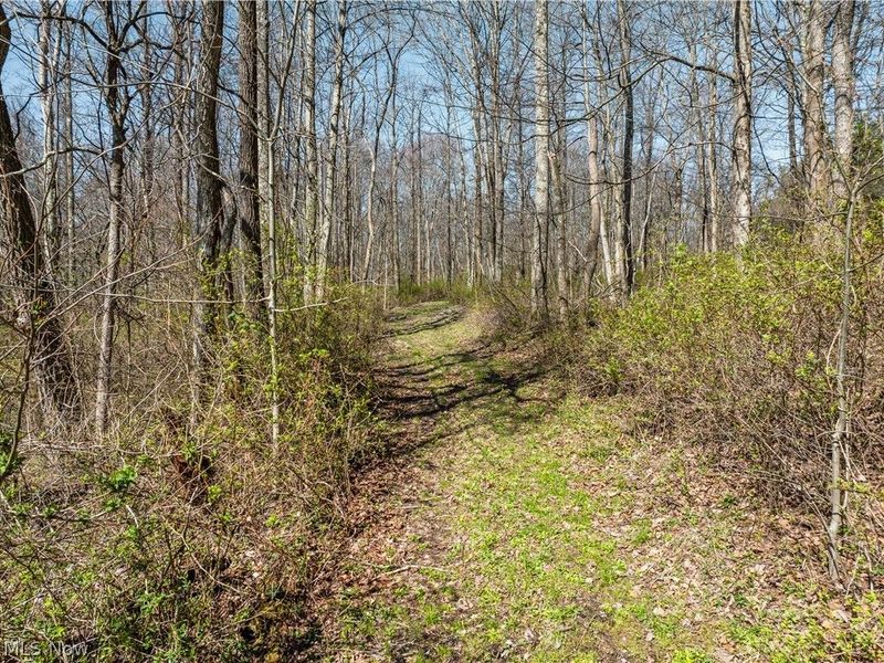 31370 Cadiz Dennison Road, Uhrichsville, OH 44683 Photo 38