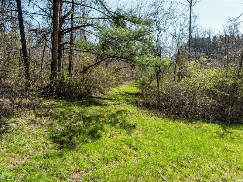 31370 Cadiz Dennison Road, Uhrichsville, OH 44683 Photo 39