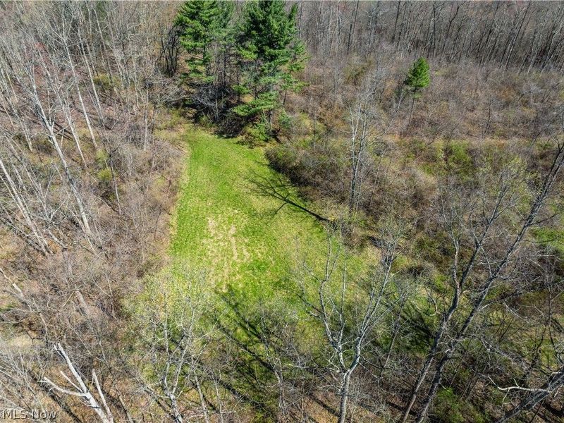 31370 Cadiz Dennison Road, Uhrichsville, OH 44683 Photo 40