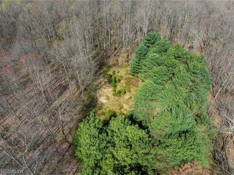 31370 Cadiz Dennison Road, Uhrichsville, OH 44683 Photo 42