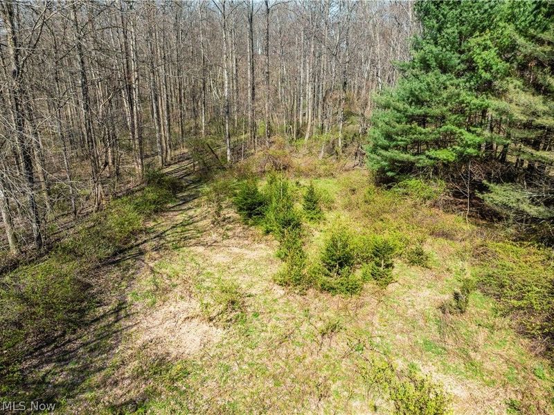 31370 Cadiz Dennison Road, Uhrichsville, OH 44683 Photo 44