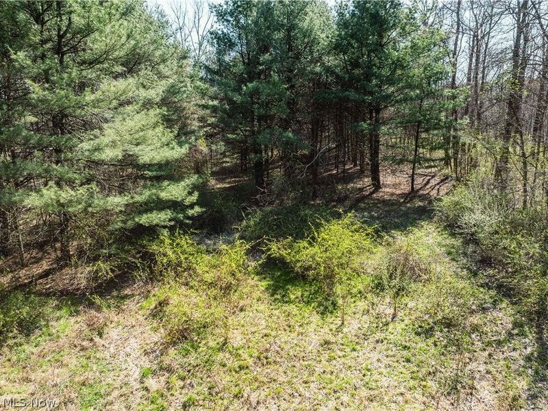 31370 Cadiz Dennison Road, Uhrichsville, OH 44683 Photo 45