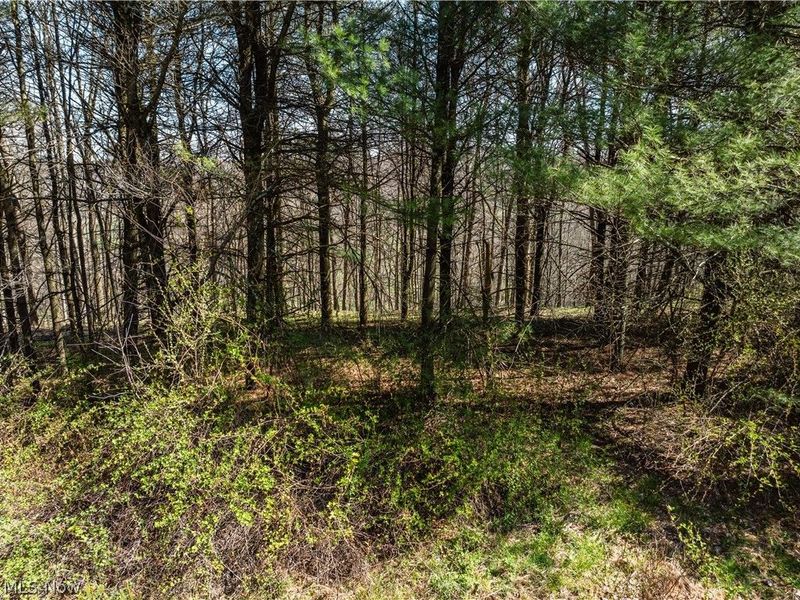 31370 Cadiz Dennison Road, Uhrichsville, OH 44683 Photo 46