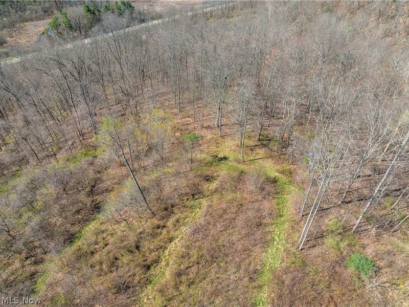 31370 Cadiz Dennison Road, Uhrichsville, OH 44683 Photo 47