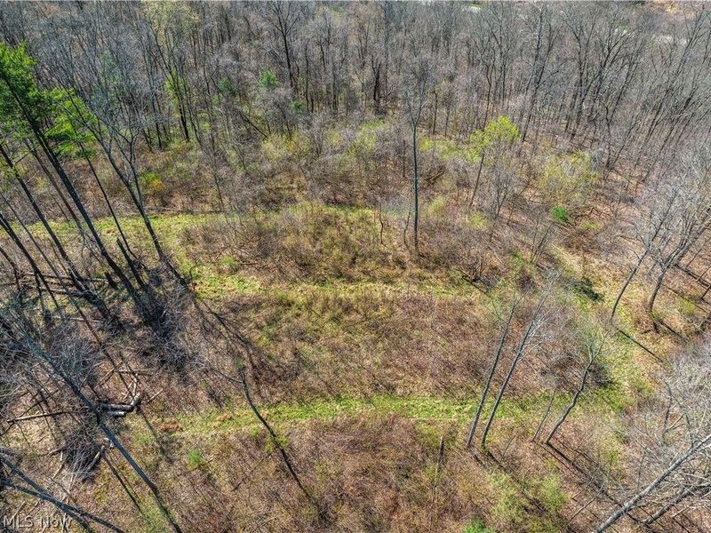 31370 Cadiz Dennison Road, Uhrichsville, OH 44683 Photo 48