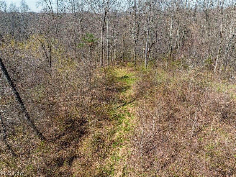 31370 Cadiz Dennison Road, Uhrichsville, OH 44683 Photo 49