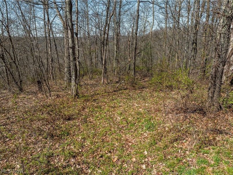 31370 Cadiz Dennison Road, Uhrichsville, OH 44683 Photo 50