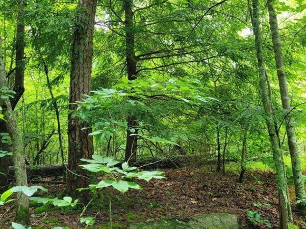 Blk 203 L5 Cumberland Lakes Drive, Monterey, TN 38574