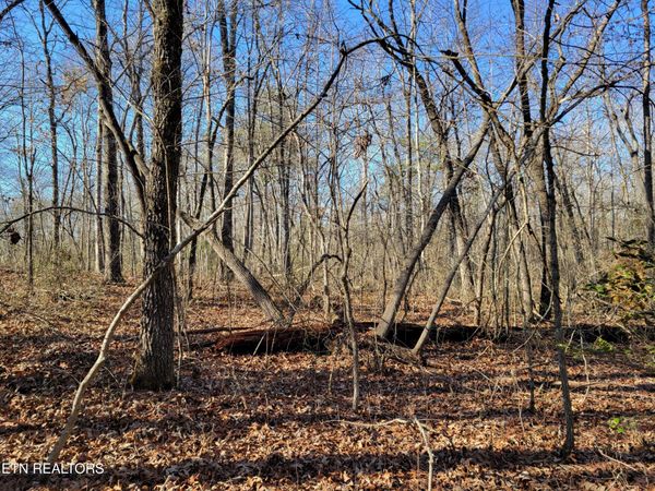 11 Rhonda Rd, Monterey, TN 38574