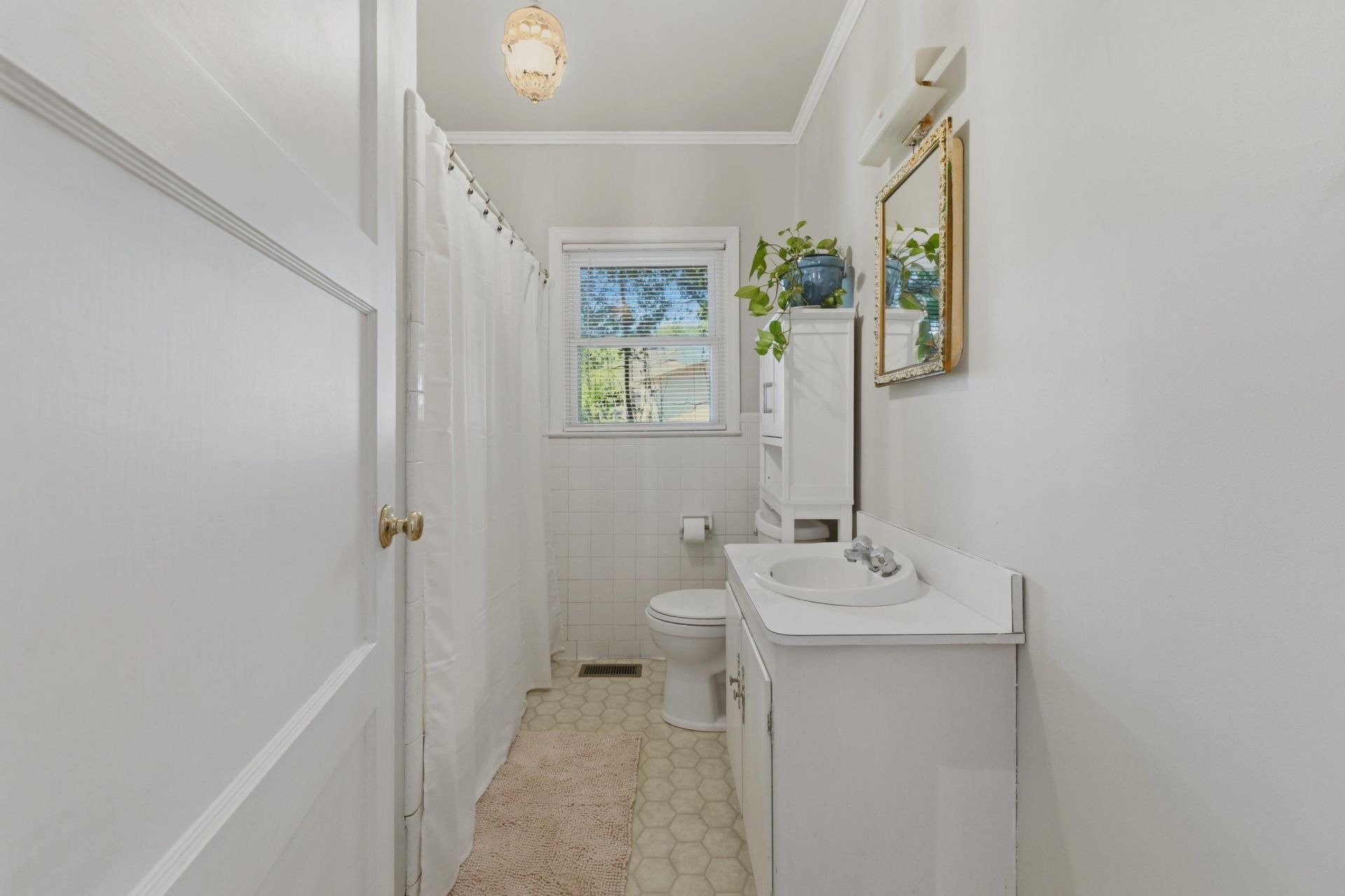 1241 Park Street Photo 19