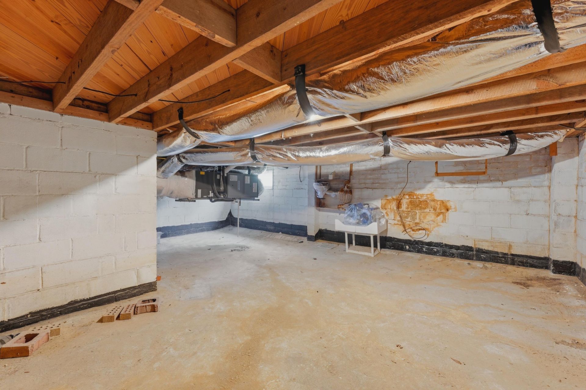 1241 Park Street Photo 25