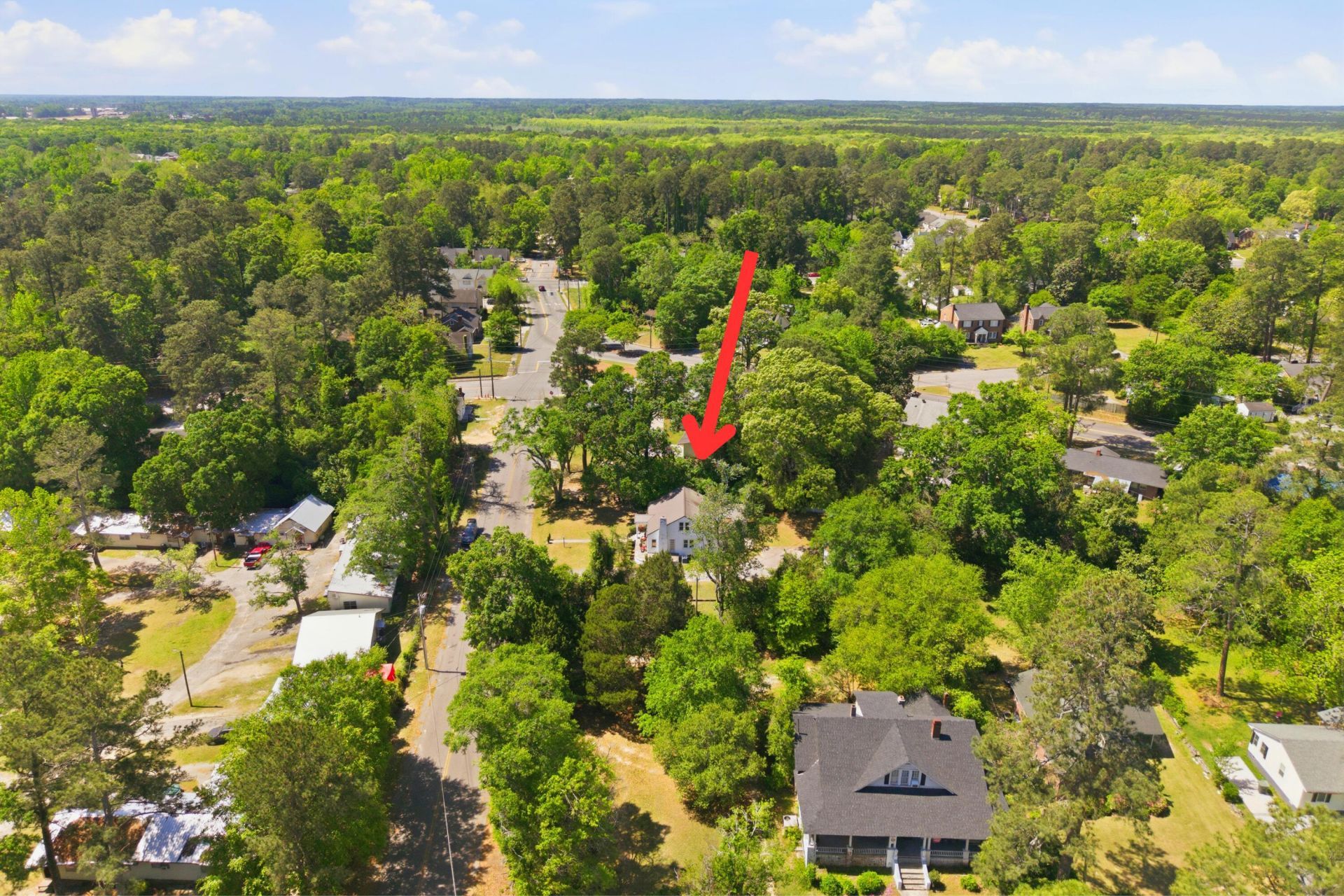 1241 Park Street Photo 29