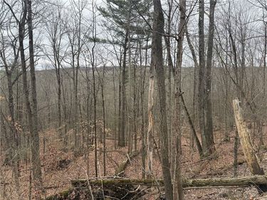 Winding Stair Road, Hammondsport, NY 14840