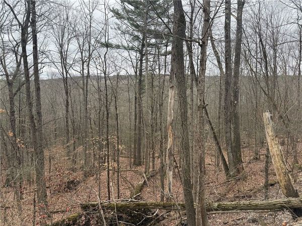 Winding Stair Road, Hammondsport, NY 14840