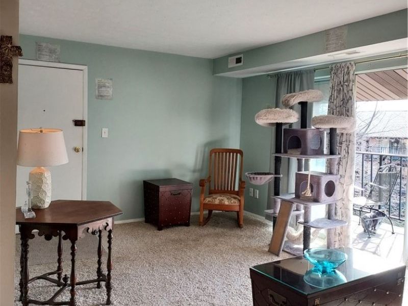 16395 Heather Lane, Unit 303, Middleburg Heights, OH 44130 Photo 4