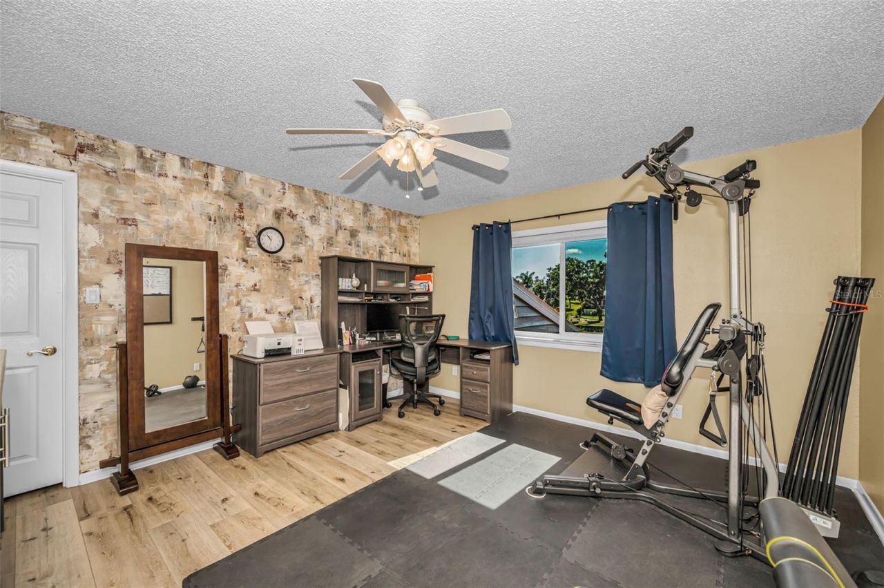 3216 Harvest Moon Drive, Palm Harbor, FL 34683 Photo