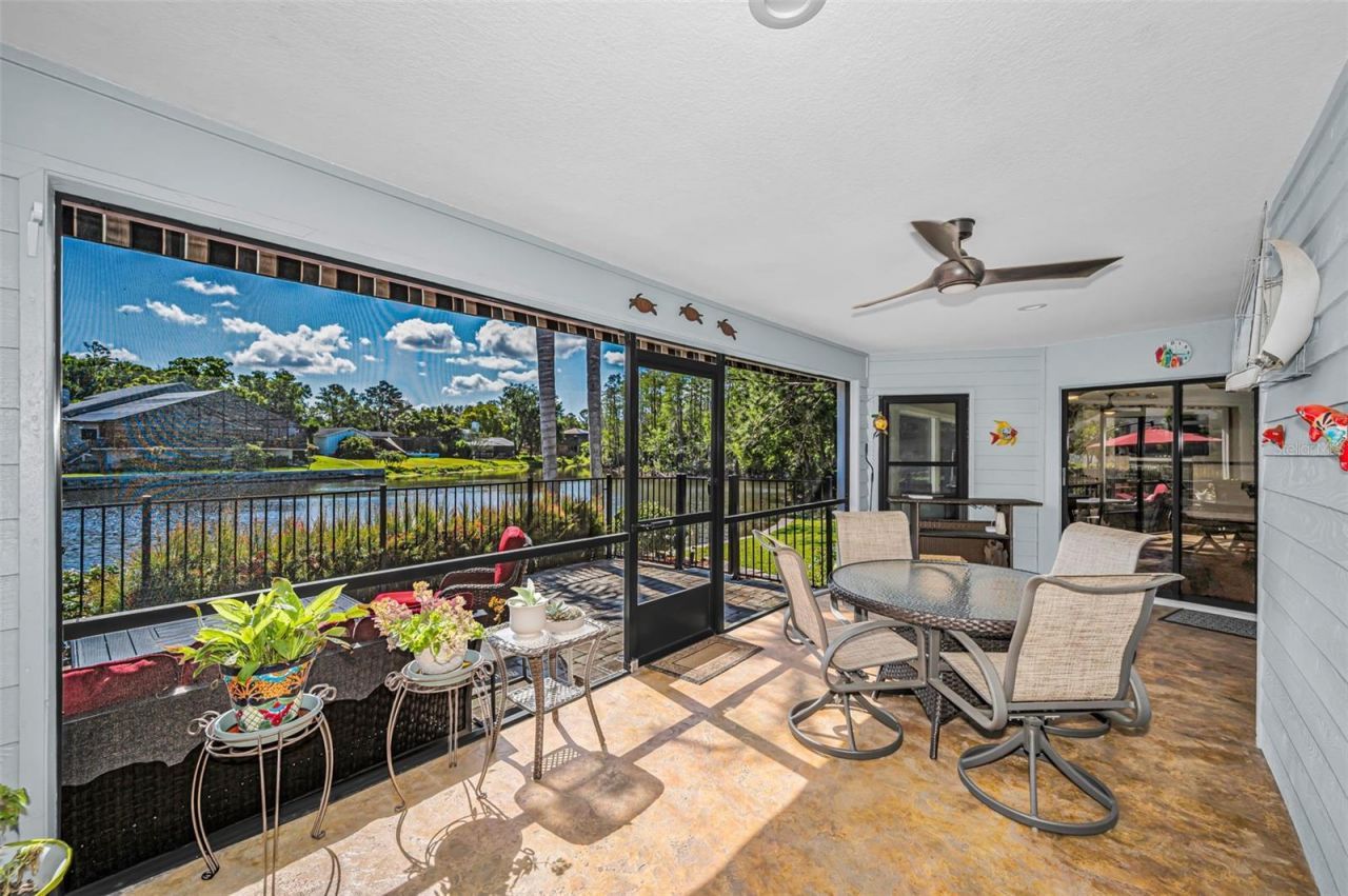 3216 Harvest Moon Drive, Palm Harbor, FL 34683 Photo