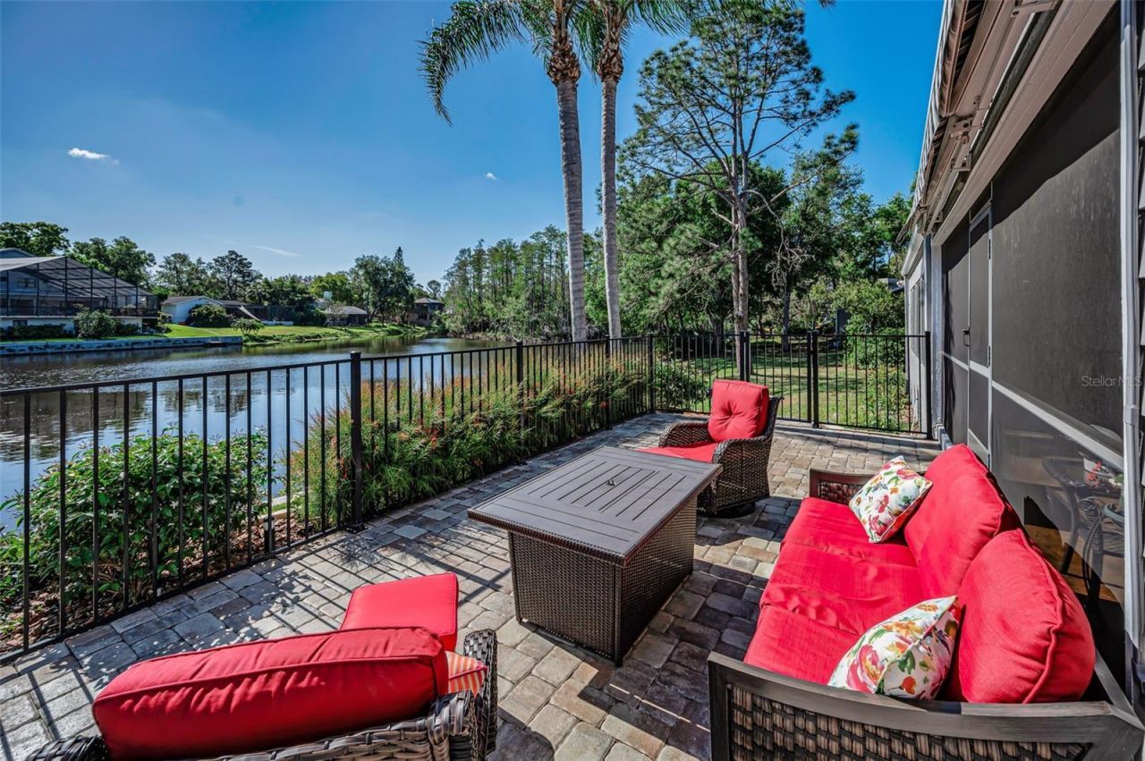 3216 Harvest Moon Drive, Palm Harbor, FL 34683 Photo