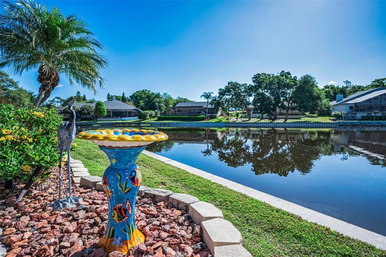 3216 Harvest Moon Drive, Palm Harbor, FL 34683 Photo