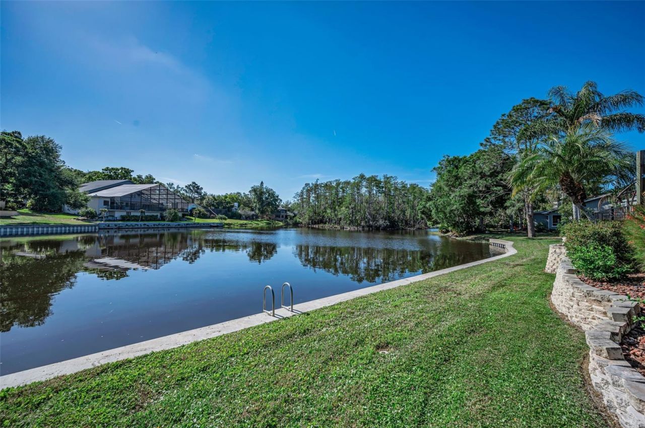 3216 Harvest Moon Drive, Palm Harbor, FL 34683 Photo