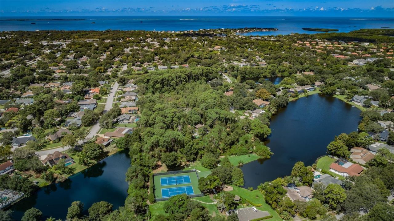 3216 Harvest Moon Drive, Palm Harbor, FL 34683 Photo