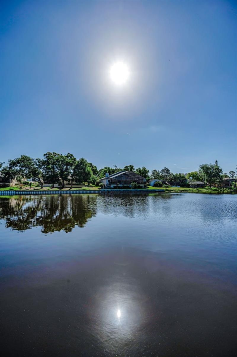 3216 Harvest Moon Drive, Palm Harbor, FL 34683 Photo