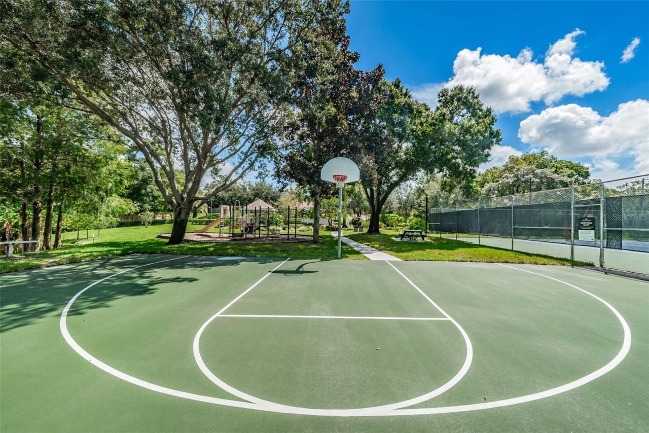 3216 Harvest Moon Drive, Palm Harbor, FL 34683 Photo