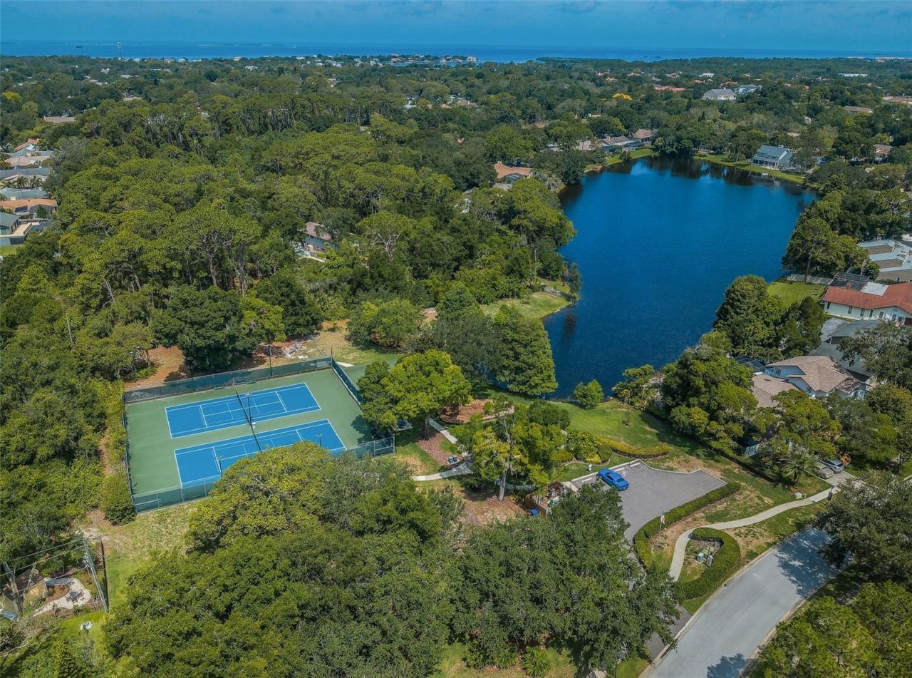 3216 Harvest Moon Drive, Palm Harbor, FL 34683 Photo