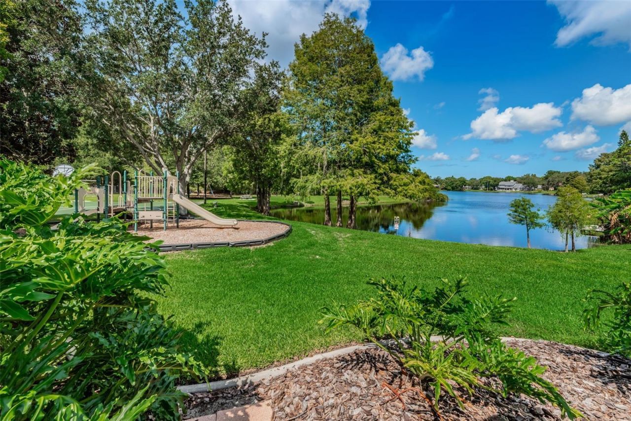 3216 Harvest Moon Drive, Palm Harbor, FL 34683 Photo