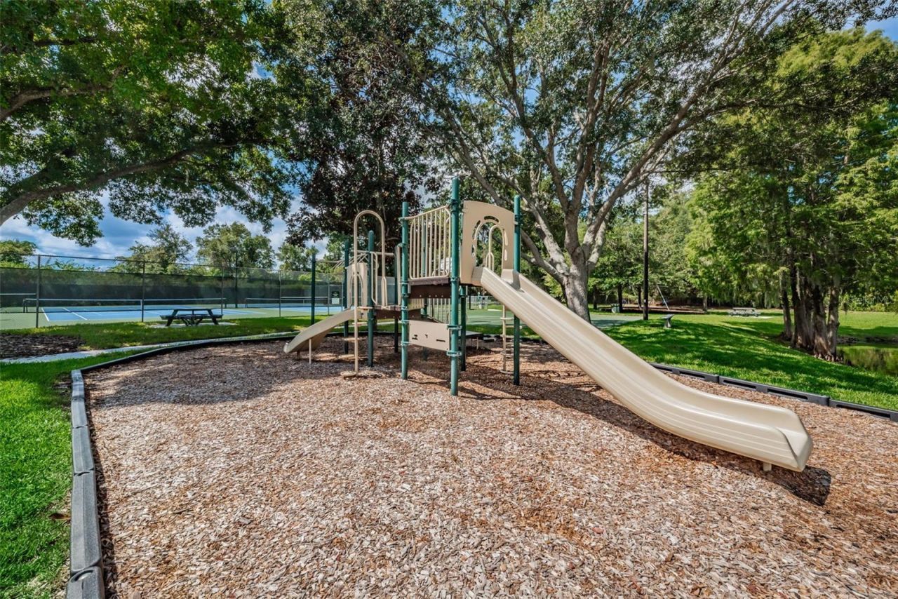 3216 Harvest Moon Drive, Palm Harbor, FL 34683 Photo