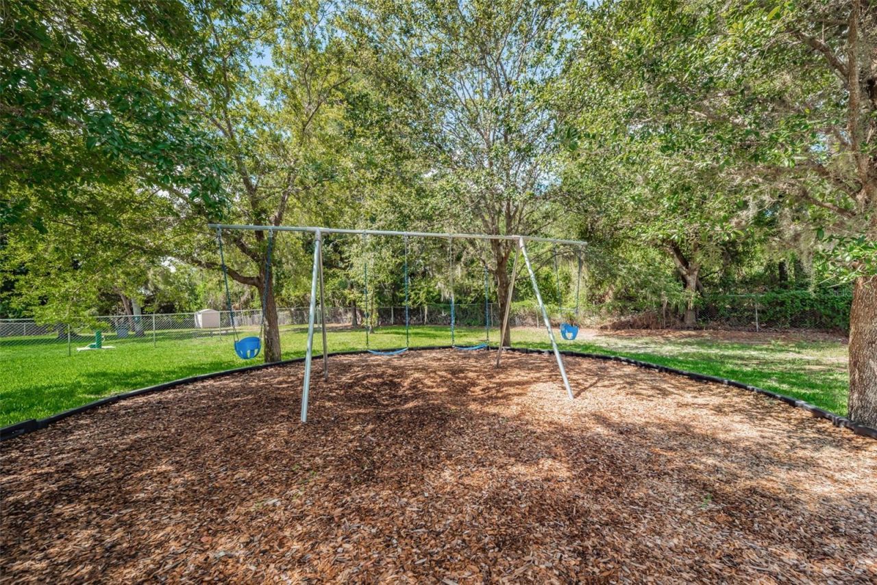 3216 Harvest Moon Drive, Palm Harbor, FL 34683 Photo