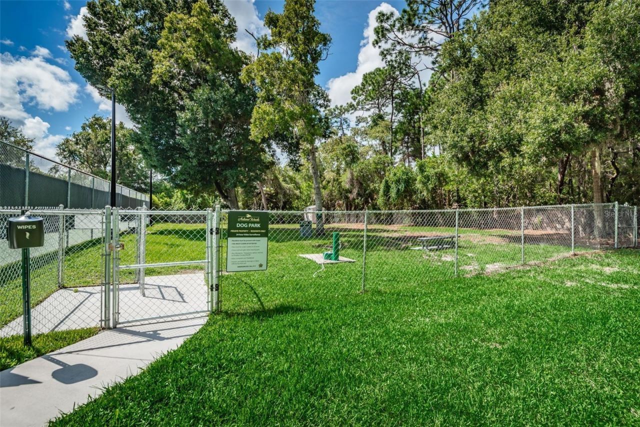 3216 Harvest Moon Drive, Palm Harbor, FL 34683 Photo