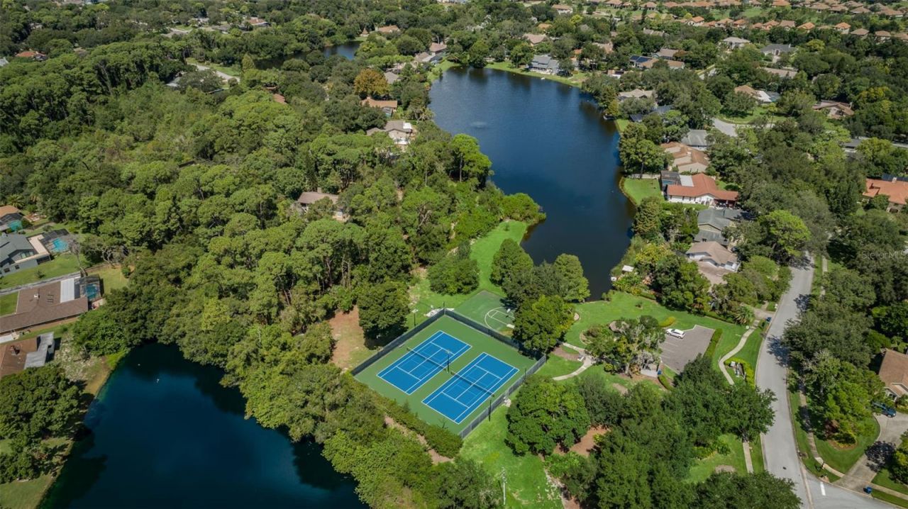 3216 Harvest Moon Drive, Palm Harbor, FL 34683 Photo