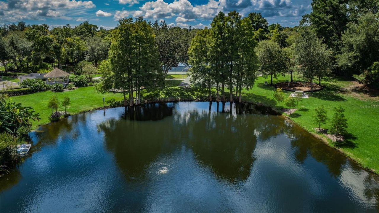 3216 Harvest Moon Drive, Palm Harbor, FL 34683 Photo