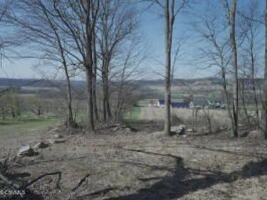 W MOUNTAIN Road, Paxinos, PA 17860