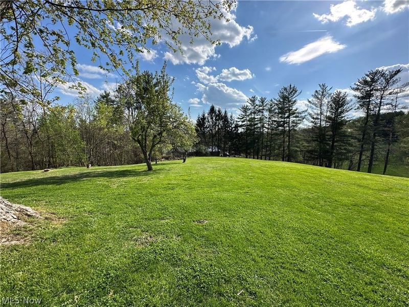 285 A E Miller Road, Lowell, OH 45744 Photo 4