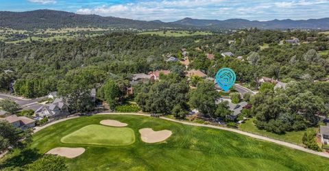 379 Perlina Terrace, Angels Camp, CA 95222 Photo